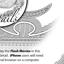 Fantail in the ferns